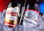 The Budweiser war: One name, two (completely different) beers