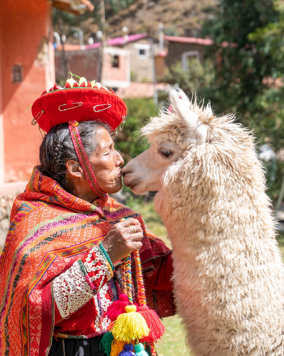 The bond between the locals and the alpacas is ancient - 