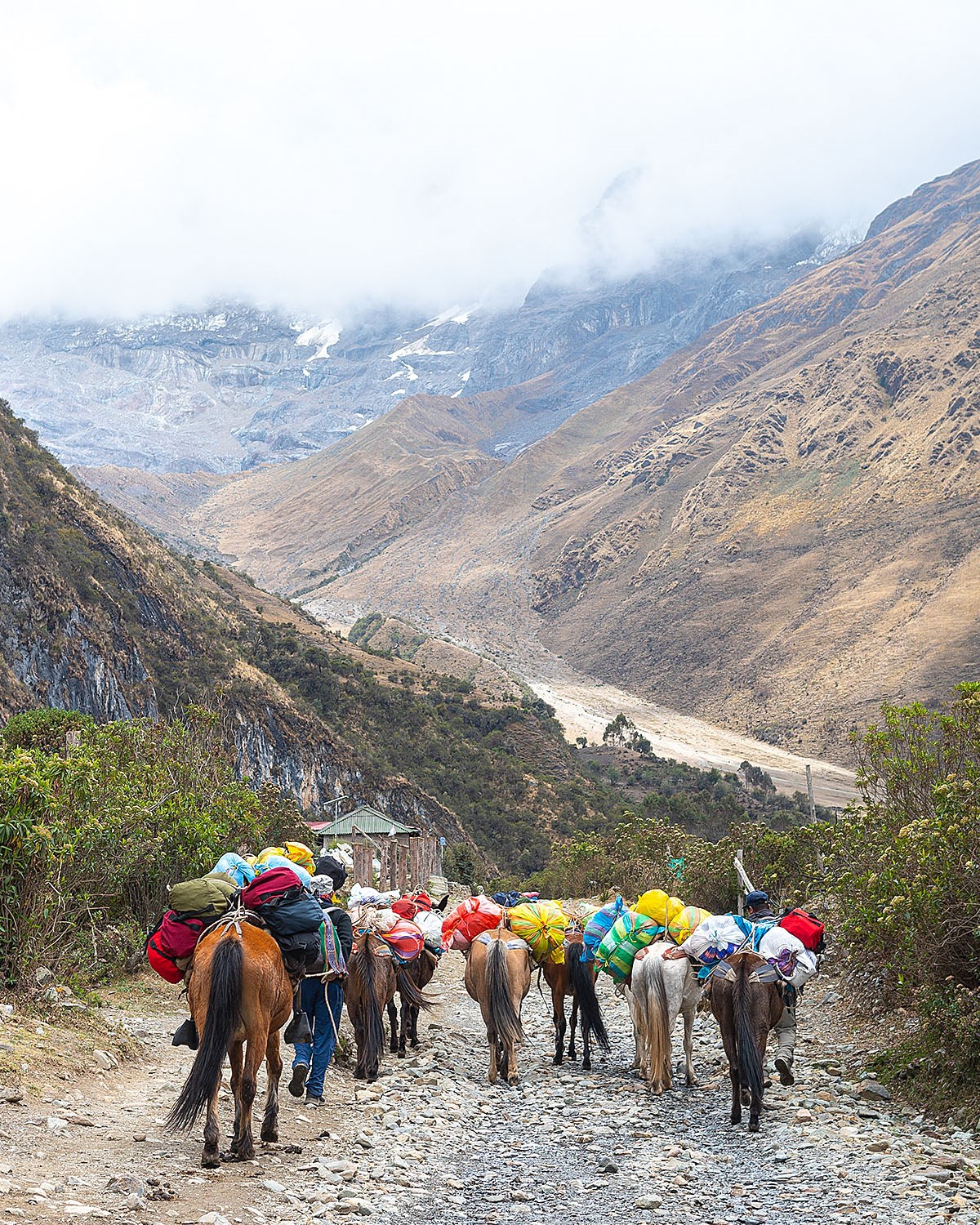 Andes are popular trekking destination - 