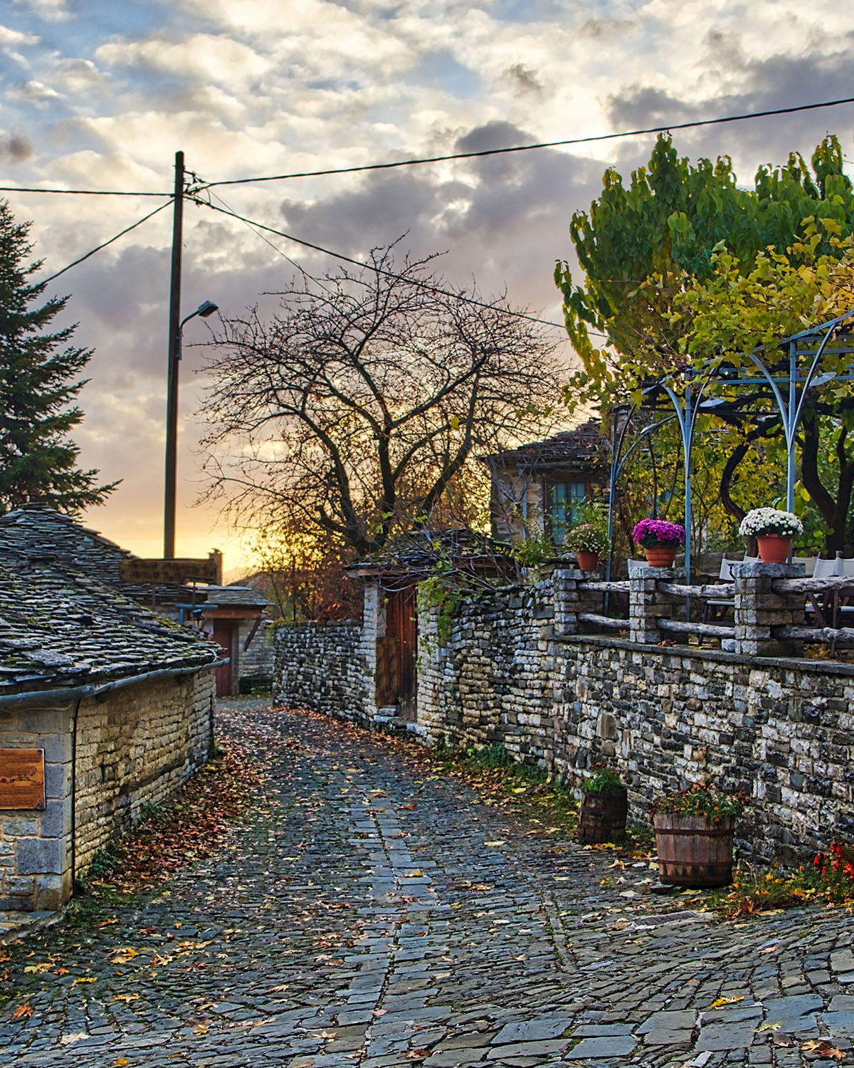 Traditional alley in Megalo Papingo - 