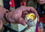 World’s Weirdest Dish: A Fertilized Duck Egg. How Do You Even Eat it?