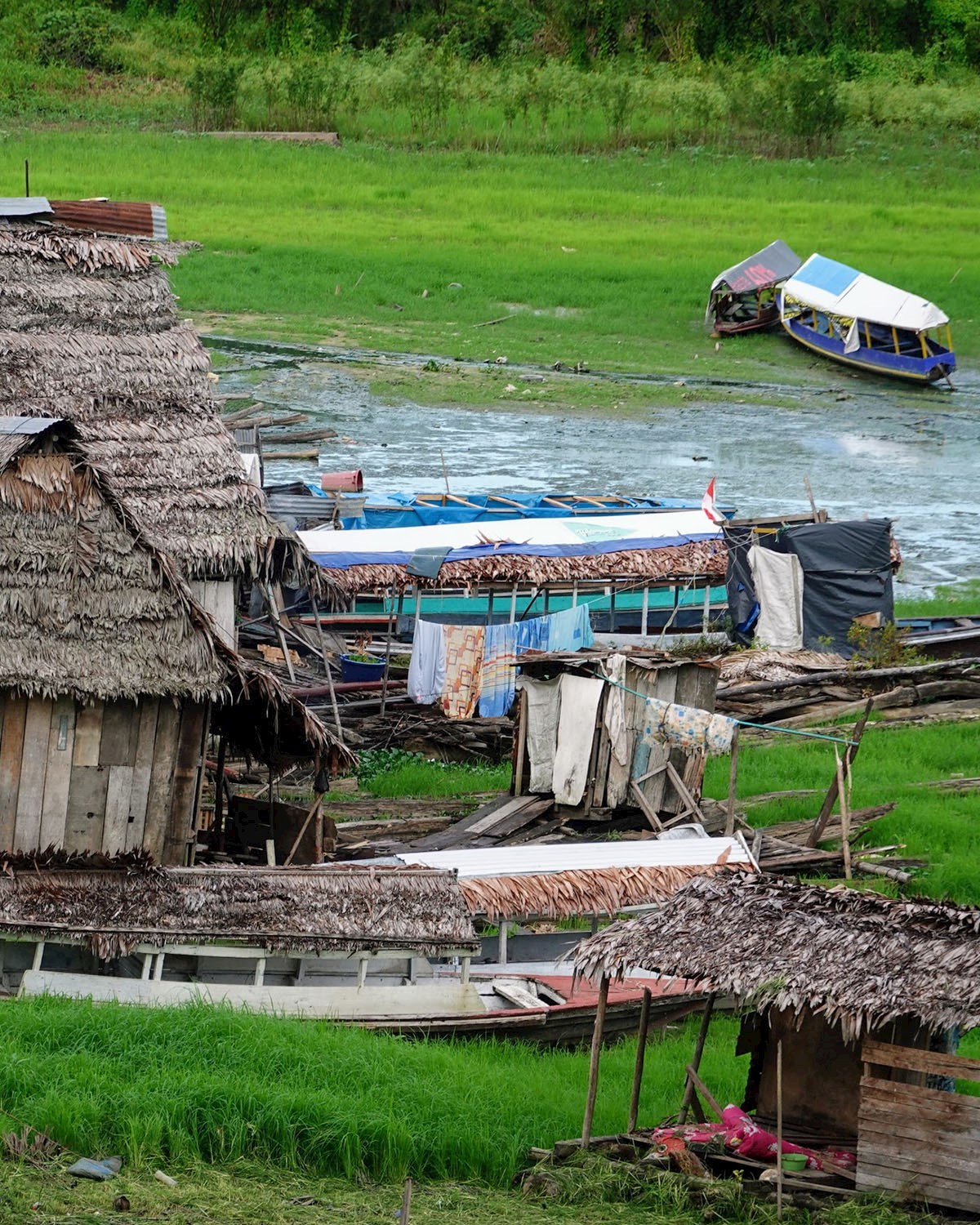 One of the many small communities along the Amazon River - 