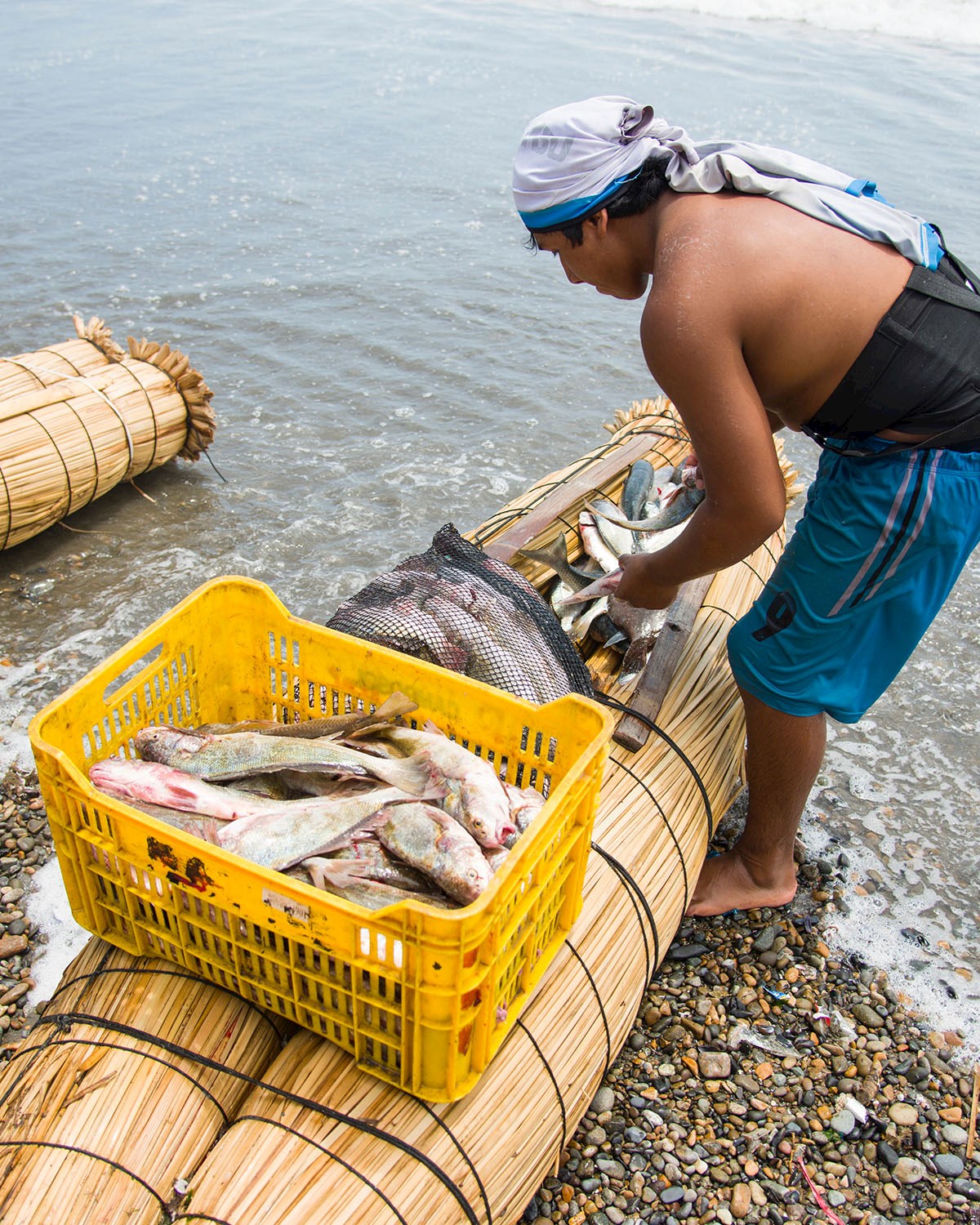 Fresh fish is one of the calling cards of North Coast - 