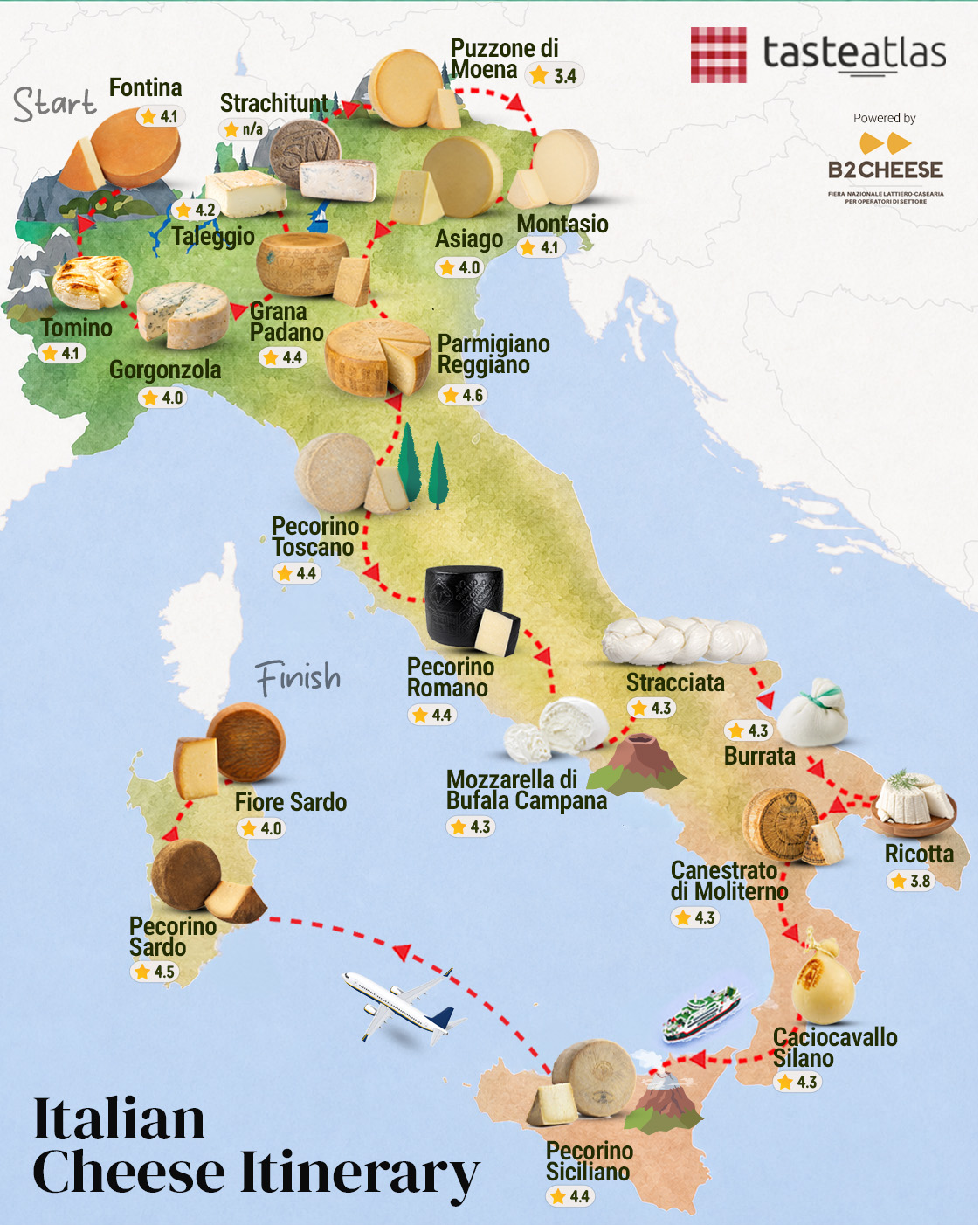 The Best Italian Cheeses: A Journey Through Italy's Dairy Excellence