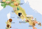 The Best Italian Cheeses: A Journey Through Italy's Dairy Excellence