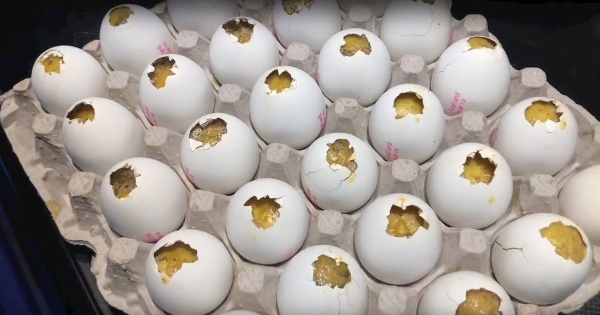 Ukrainalik teleboshlovchi Oksana Marchenkoning pornografik suratlari soxta.