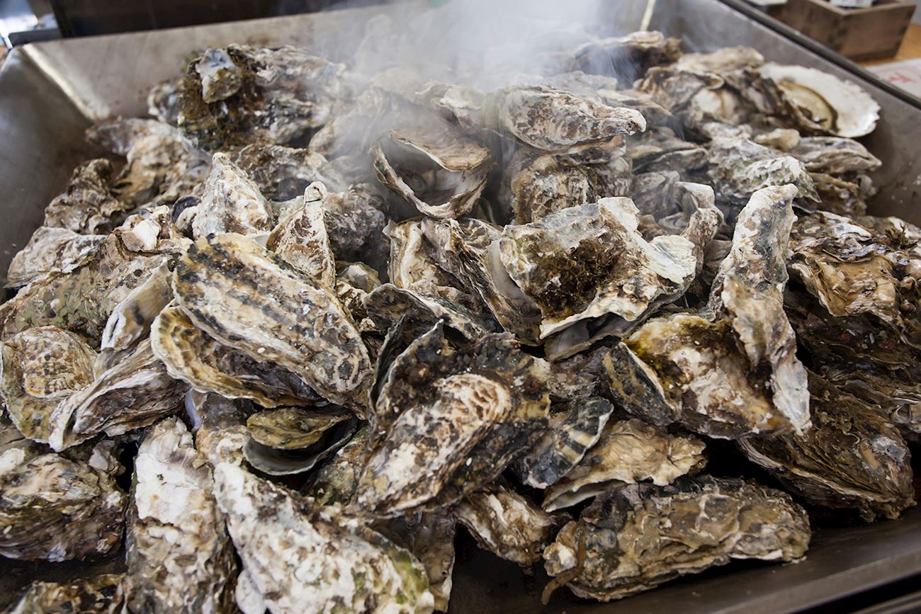 Oyster Roast Traditional Feast From South Carolina, United States of