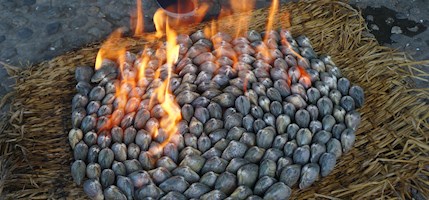 Nampo Petrol Clams