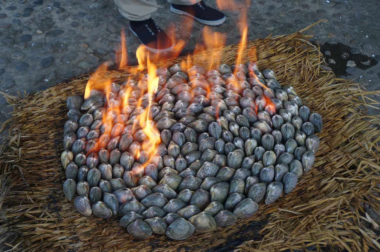 Nampo Petrol Clams Traditional Clam Dish From Nampo, North Korea