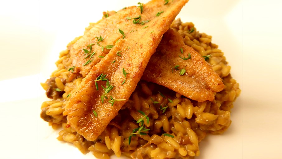 100 Most Popular European Fish Dishes TasteAtlas