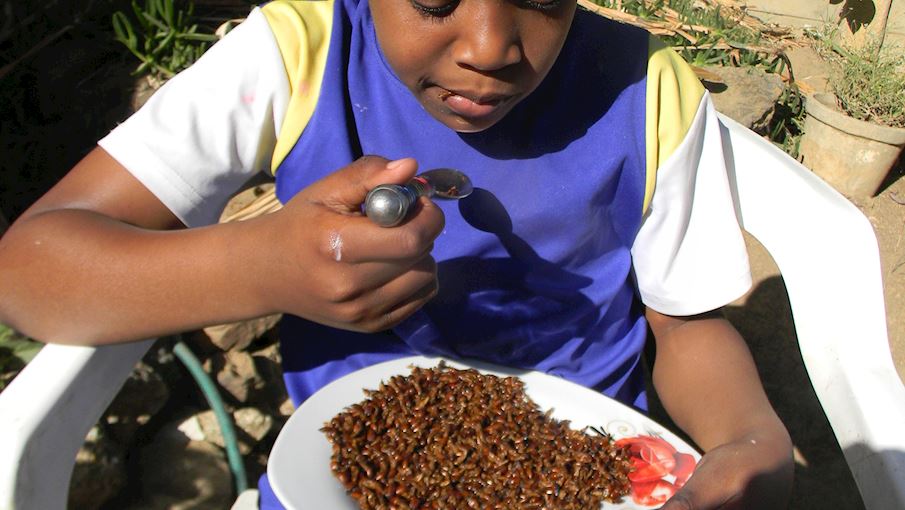 Most Popular Ugandan Food TasteAtlas