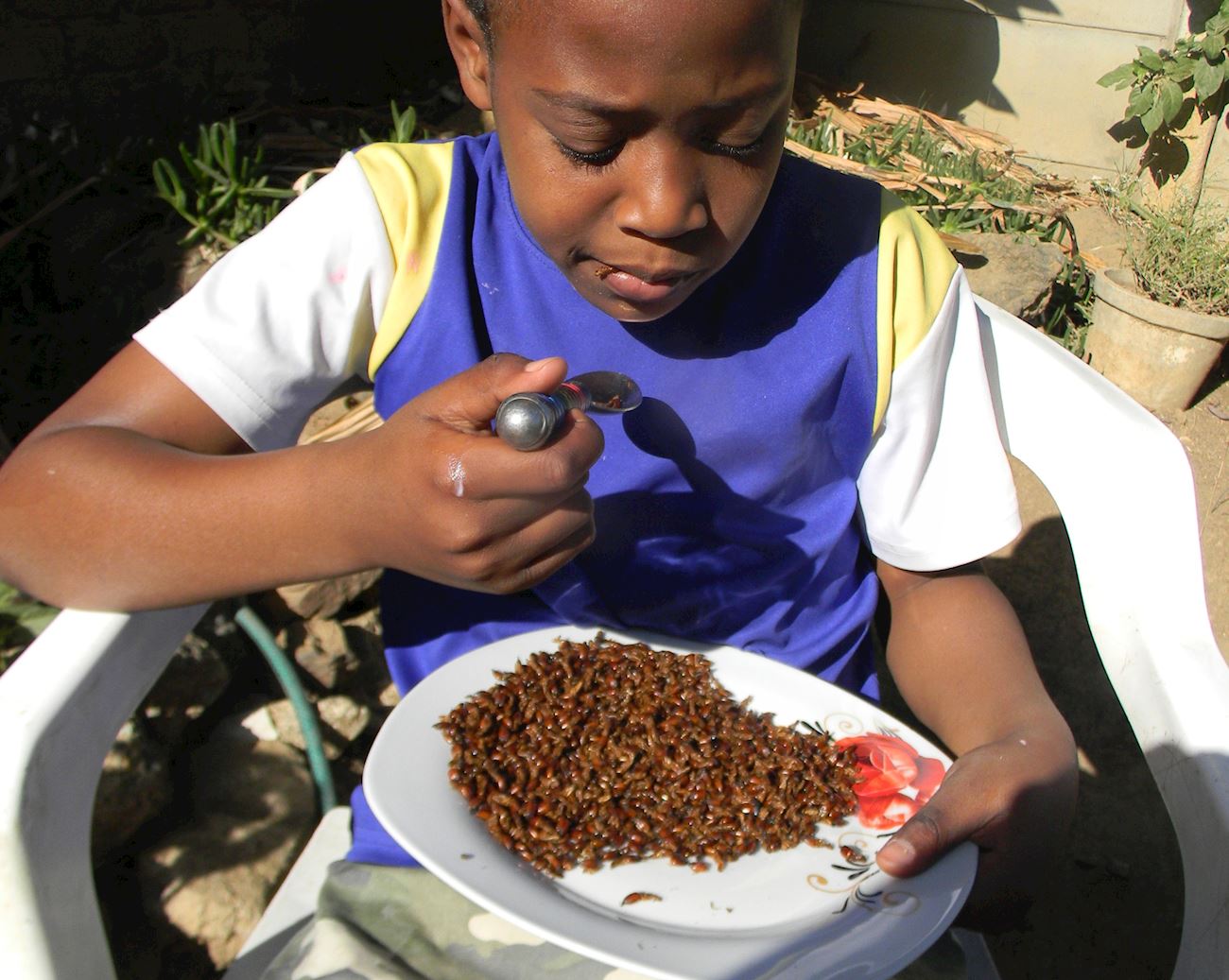 Nswaa | Traditional Insect Dish From Uganda