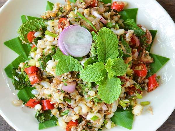 escamoles traditional insect dish from mexico