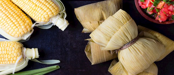 Tamales de Elote | Traditional Breakfast From Mexico