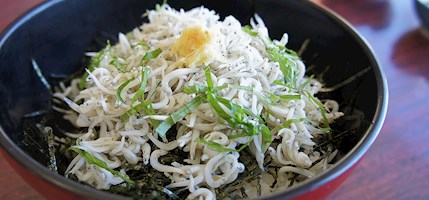 Shirasu don