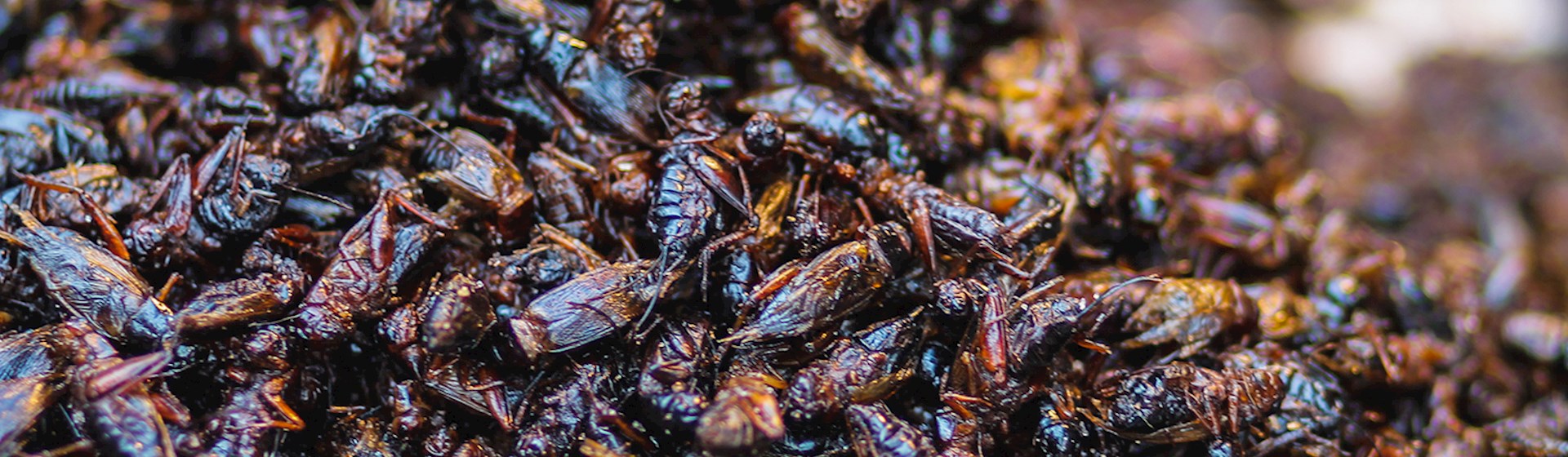 4 Best Snacks in the Chubu Region - TasteAtlas