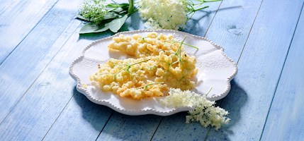 Hollerkücherl