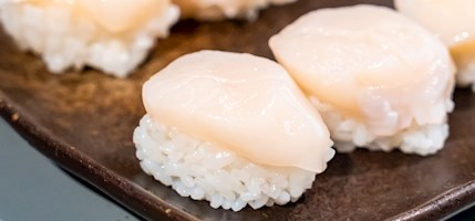 Hotate nigiri sushi