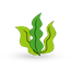 Wakame