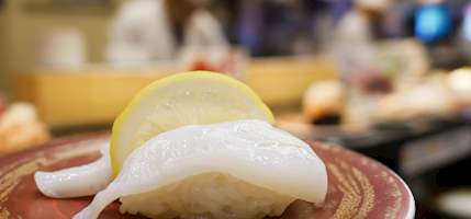 Ika nigiri sushi