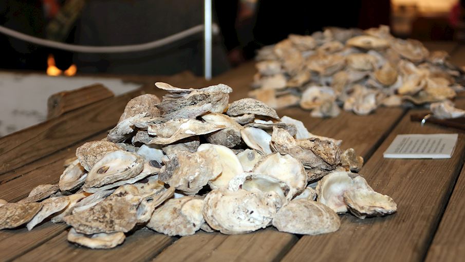 19 Best Oyster Dishes in the World - TasteAtlas