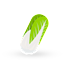 Chinese cabbage