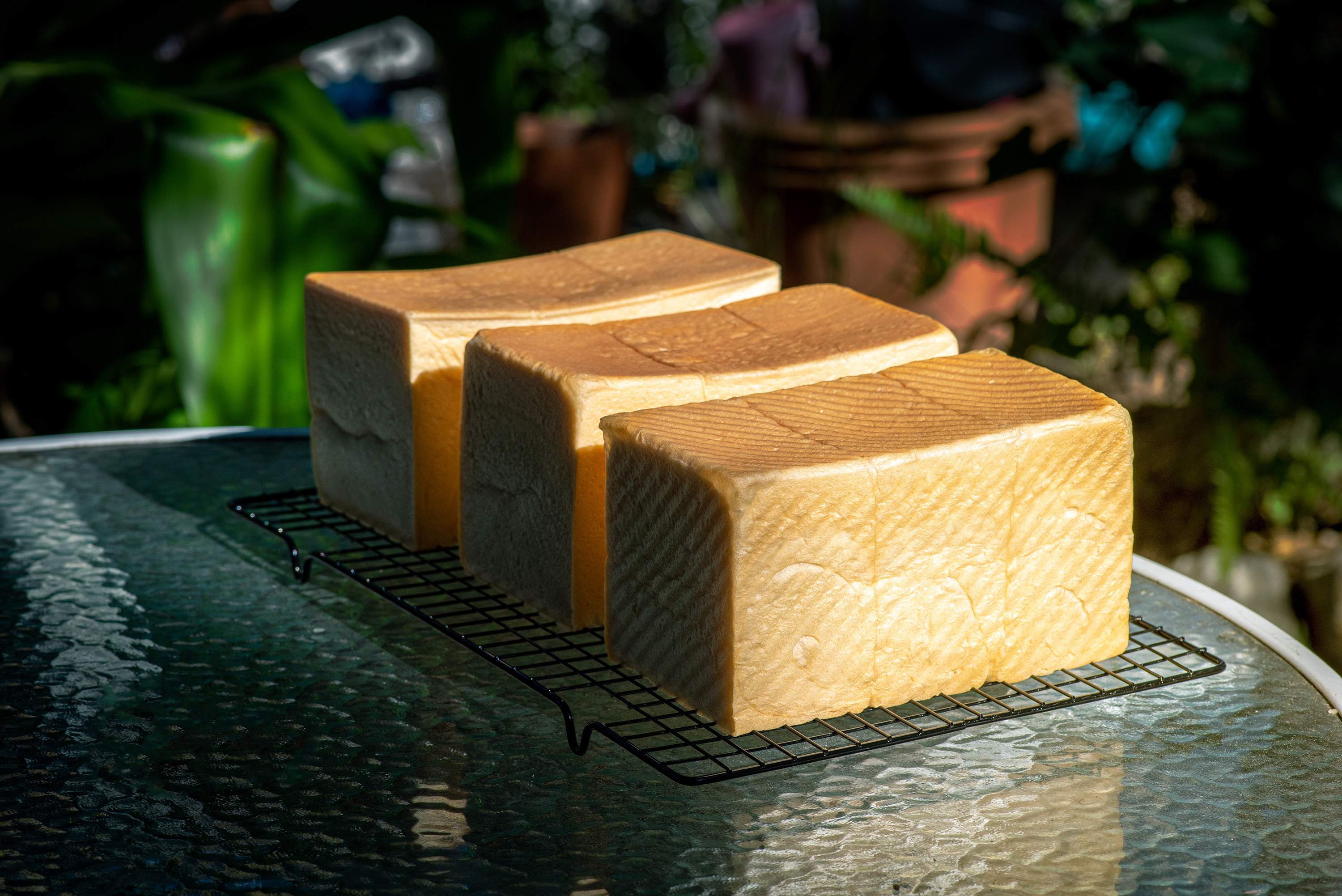 shokupan-traditional-bread-from-japan