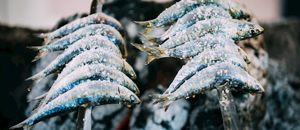 Espetos  Traditional Saltwater Fish Dish From Province of Málaga