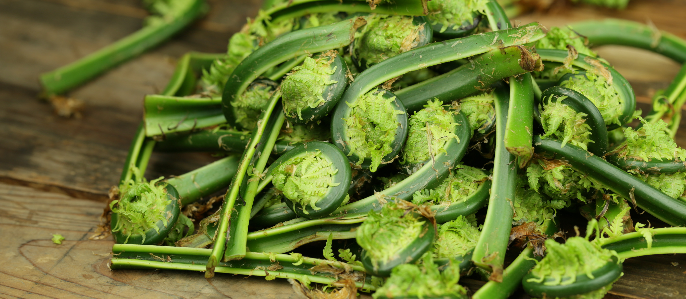 Boiled Fiddleheads Traditional Vegetable Dish From Canada