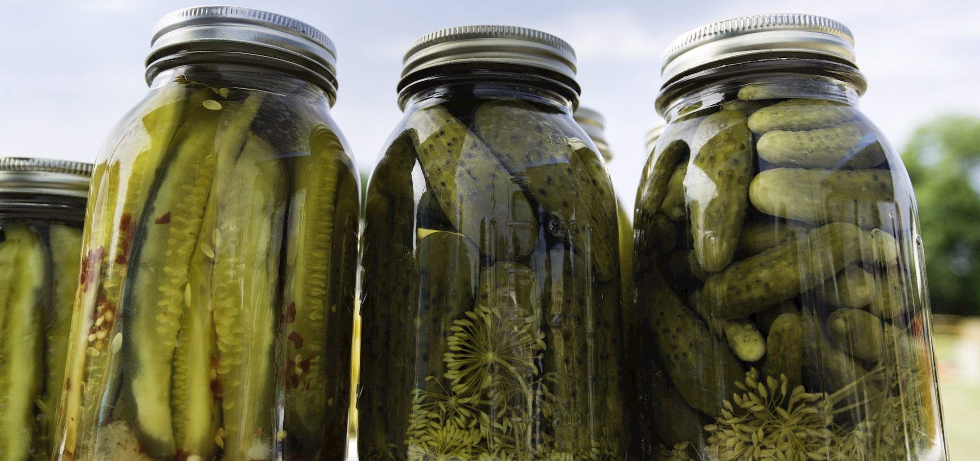Where to Eat the Best Kosher Pickles in the World? TasteAtlas