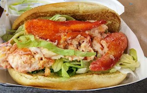 Maine-style Lobster Roll