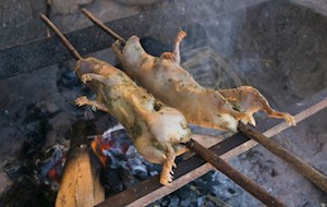 Cuy al palo