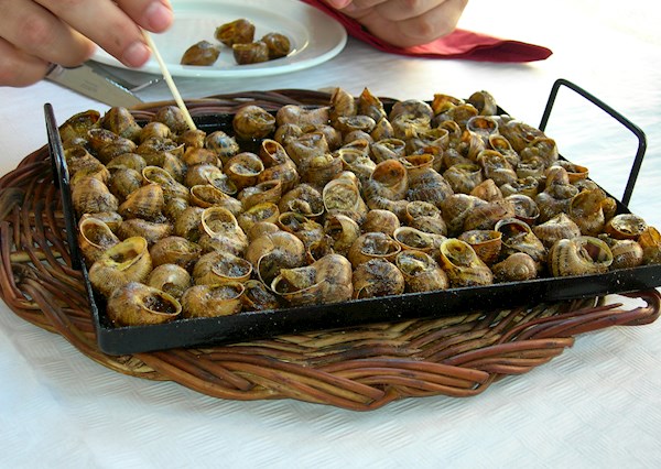 DOJA Barcelona, Iron can for snails, Dimensions: 26X30, Caragols a la  llauna