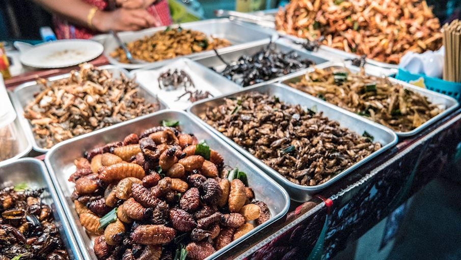 4 Most Popular Thai Insect Dishes TasteAtlas