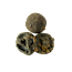 Black lemon