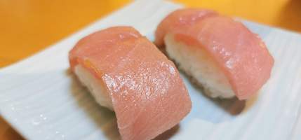Chutoro nigiri sushi