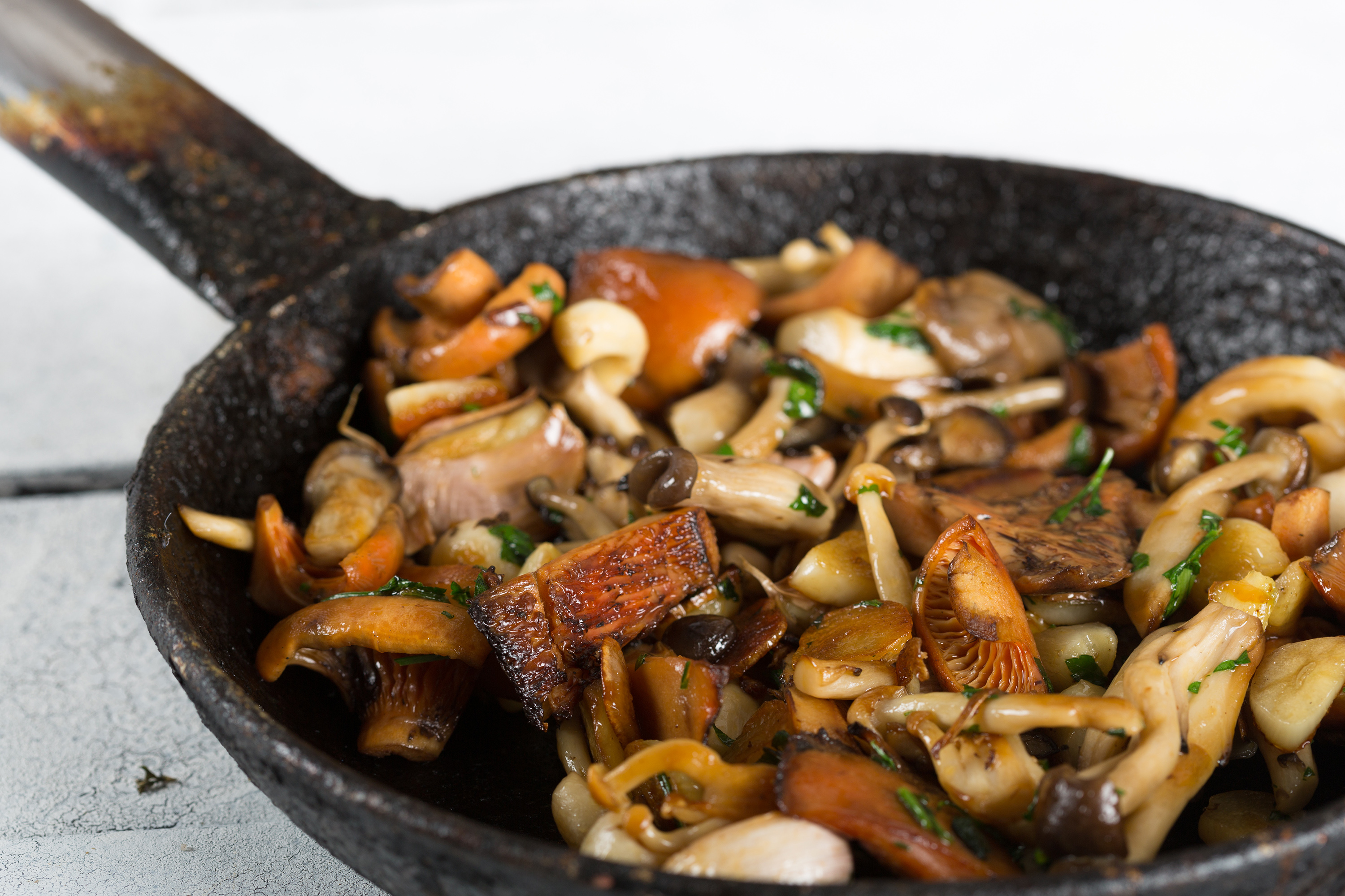 Funghi Trifolati Traditional Mushroom Dish From Italy Western Europe Funghi Trifolati Traditional Mushroom Dish From Italy Western Europe