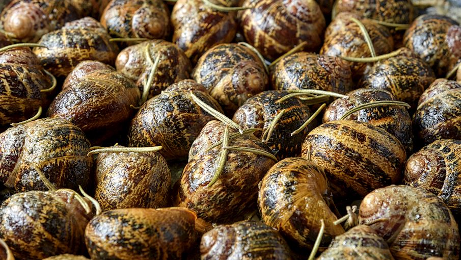 10 Most Popular European Snail Dishes TasteAtlas