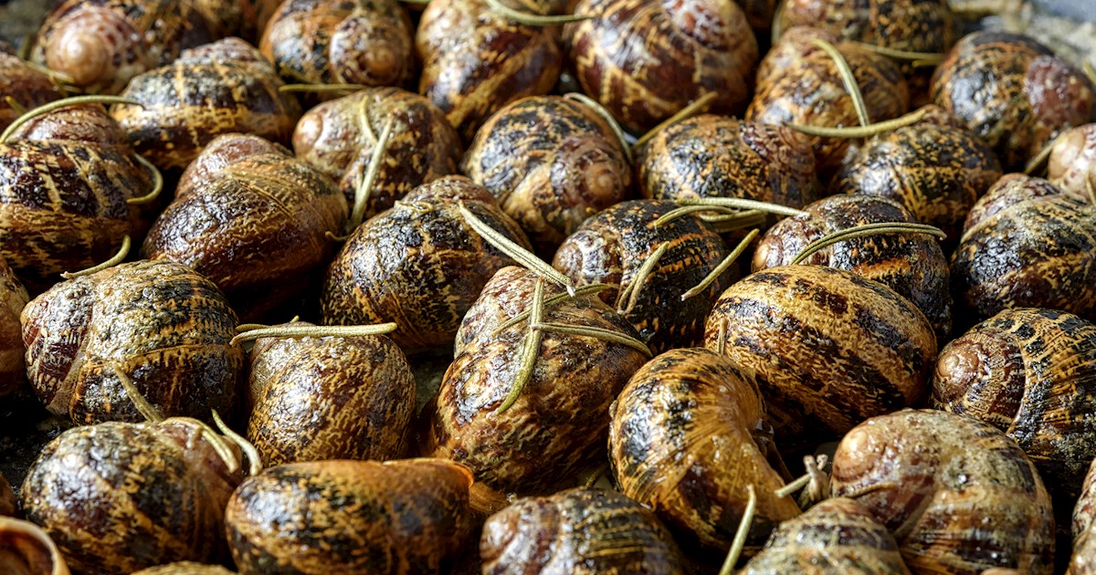 www.tasteatlas.com