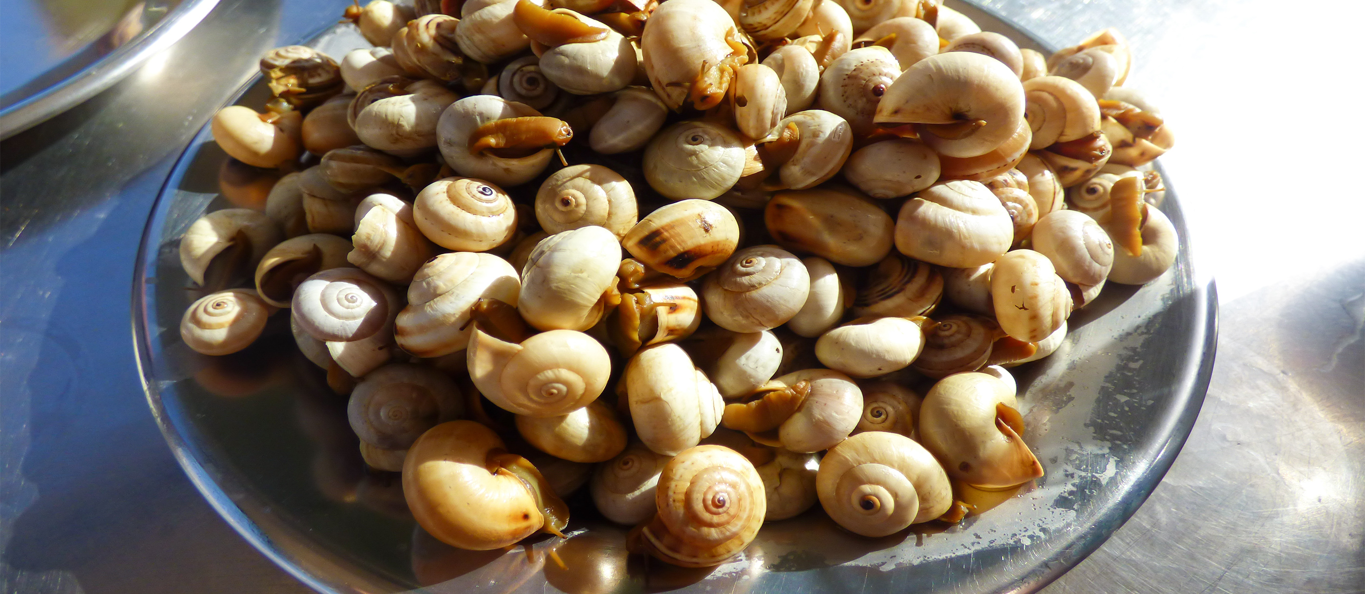 Best Rated Snail Dishes in the World TasteAtlas