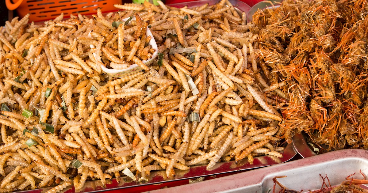 Rod Duan | Traditional Insect Dish From Thailand, Southeast Asia