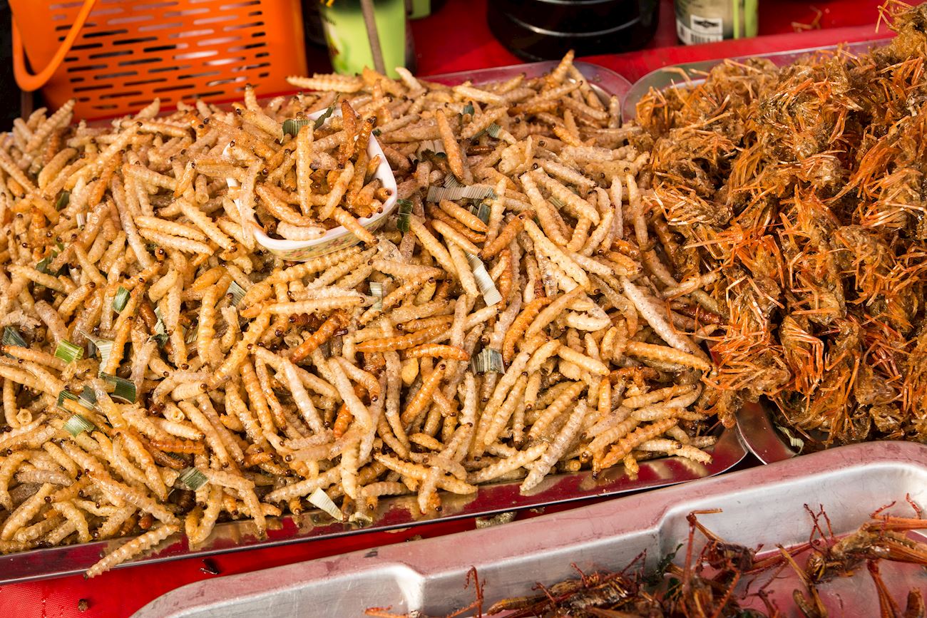 4 Most Popular Southeast Asian Insect Dishes - TasteAtlas