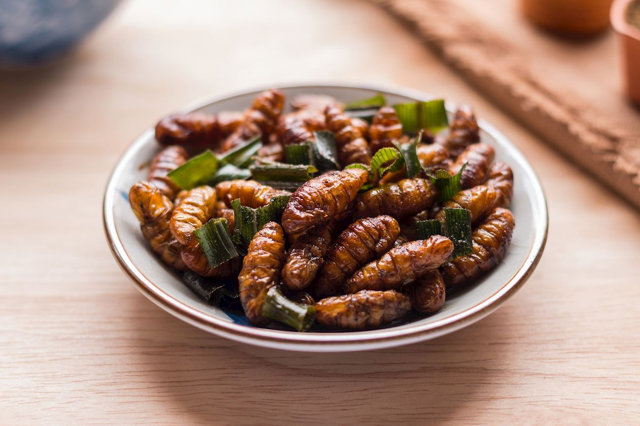 Hon Mhai | Traditional Insect Dish From Thailand, Southeast Asia