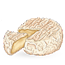Pélardon des Cévennes