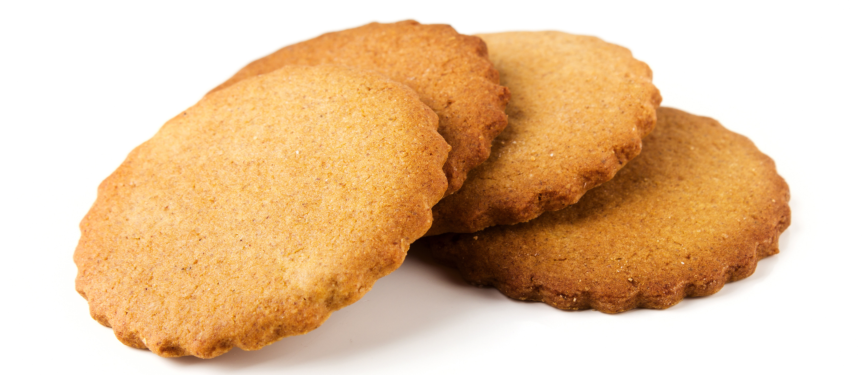 Jodenkoek Traditional Cookie From Netherlands