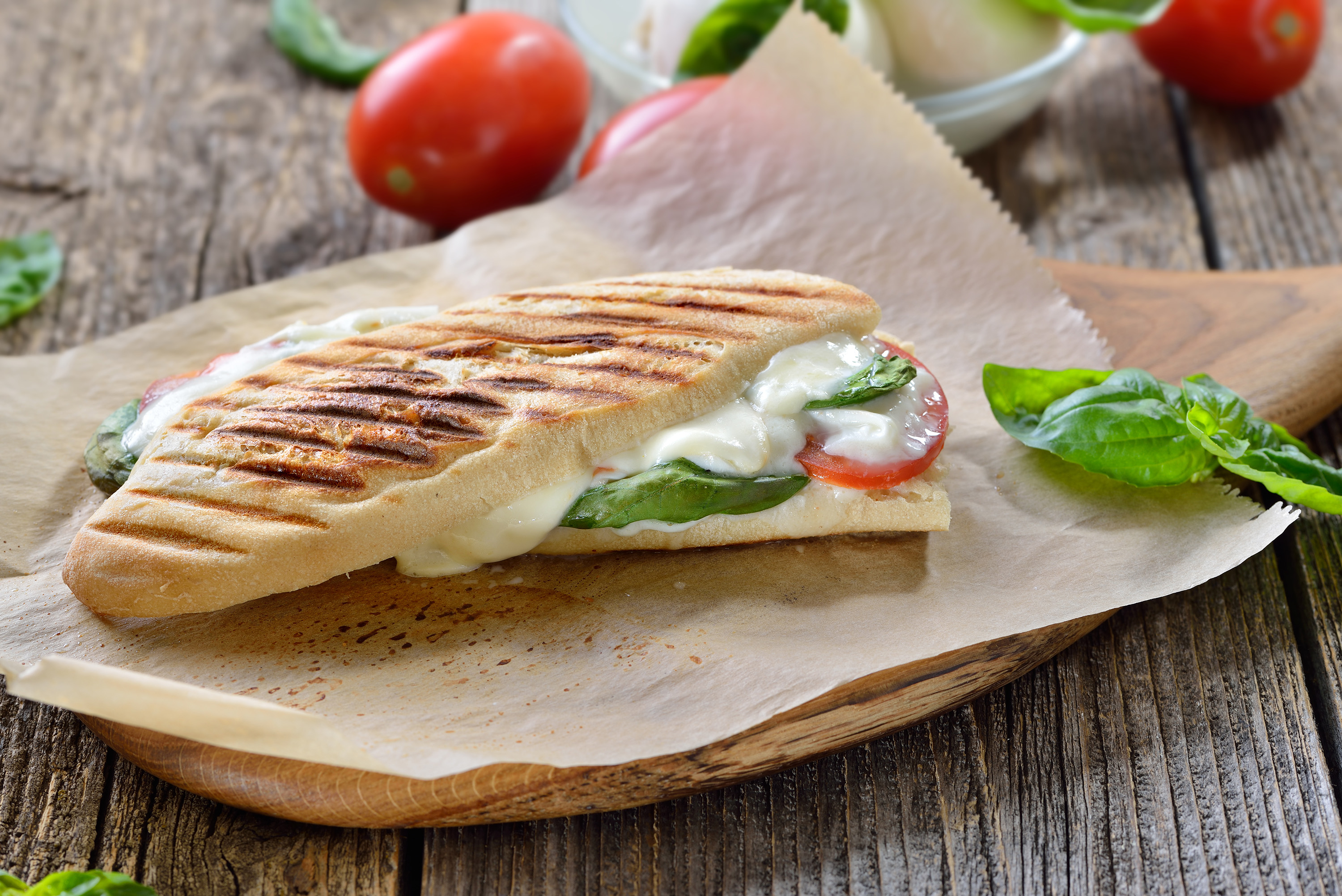 Panini | Traditional Sandwich type From Italy