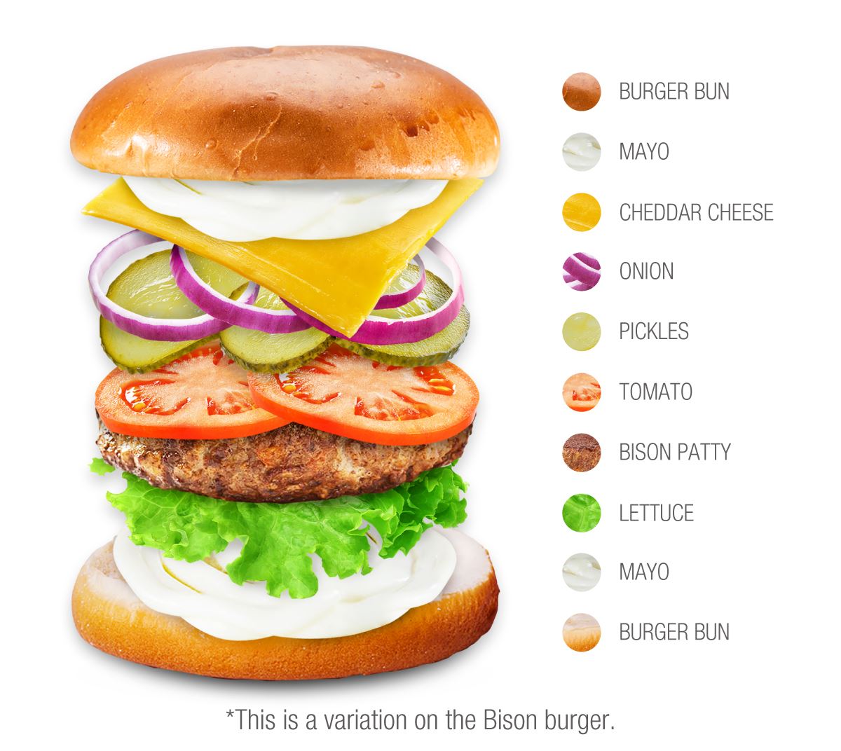 Bison Burger | Traditional Burger From United States of America