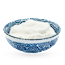 Greek yogurt