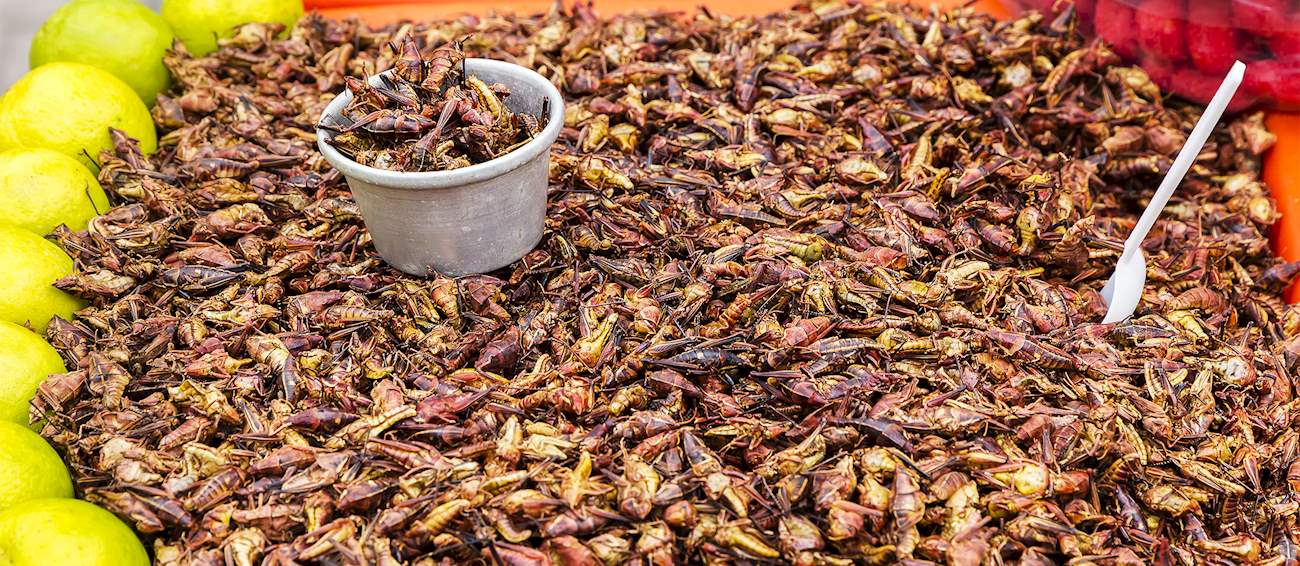 Chapulines | Traditional Insect Dish From Oaxaca, Mexico