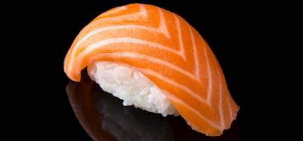 Sake nigiri sushi